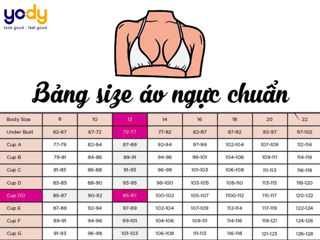 Brust Là Gì? Nghĩa Tiếng Anh Và Thuật Ngữ Thời Trang Liên Quan