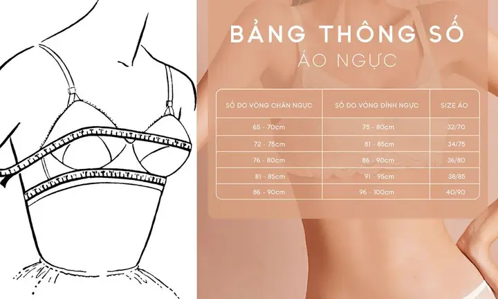 Brust Là Gì? Nghĩa Tiếng Anh Và Thuật Ngữ Thời Trang Liên Quan