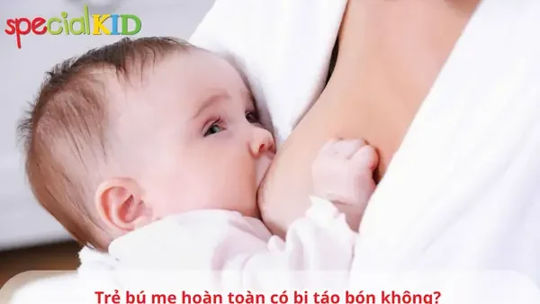 Bú Mẹ Hoàn Toàn Là Gì? Hướng Dẫn Chi Tiết & Lợi Ích Vàng Cho Bé 6 Tháng Đầu