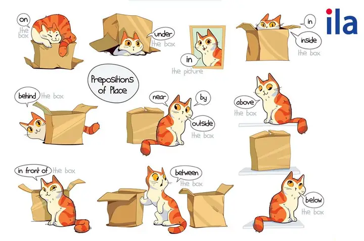Build Up Là Gì? Định Nghĩa, Cách Dùng Và Các Ví Dụ Phổ Biến Nhất
