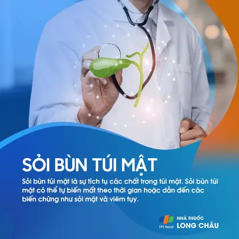 Bùn Túi Mật Là Gì? Nguyên Nhân, Triệu Chứng Và Dấu Hiệu Nhận Biết Sớm