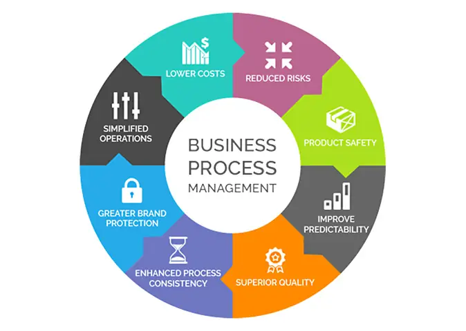 Business Process Là Gì? Phân Loại Và Quản Lý Hiệu Quả Quy Trình Kinh Doanh