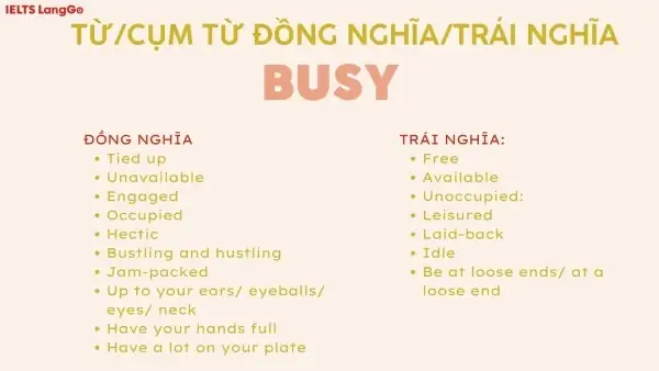 Busy Dịch Là Gì? Định Nghĩa, Cách Dùng Và Ví Dụ Chi Tiết