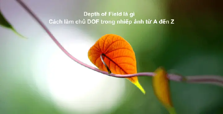 "by Luck" Là Gì? Giải Thích Ý Nghĩa Và Các Cách Dùng Trong Tiếng Anh