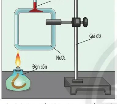 C11H22O11 Là Gì? Giải Mã Công Thức Đường Và Ứng Dụng Thực Tế