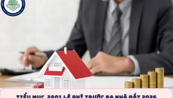 Ca Ba Nhá Là Gì? Giải Mã Ý Nghĩa Và Nguồn Gốc Thuật Ngữ
