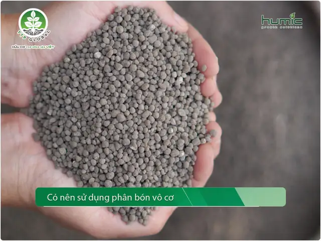 Ca(h2po4)2 Đọc Là Gì? Tên Gọi Và Ý Nghĩa Hóa Học