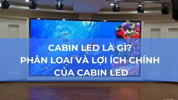 Cabin LED Là Gì? Cấu Tạo, Phân Loại Và Vai Trò Chi Tiết