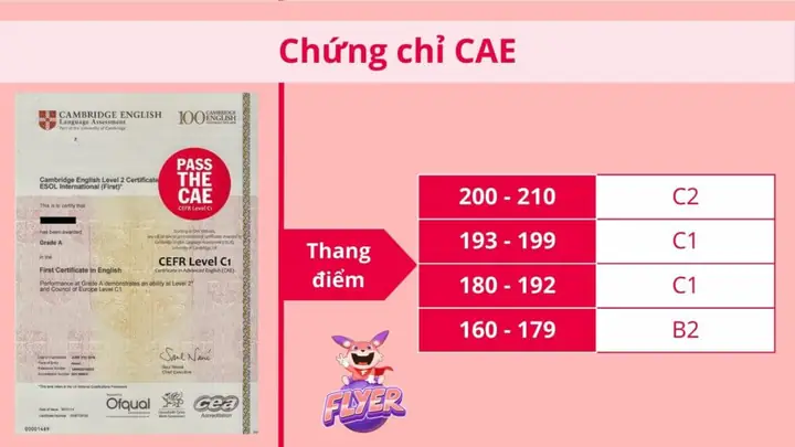 CAE Là Gì? Cấu Trúc, Lợi Ích & So Sánh Với IELTS, TOEFL
