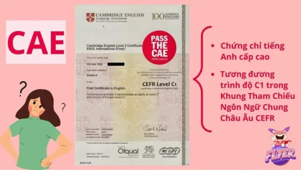 CAE Là Gì? Cấu Trúc, Lợi Ích & So Sánh Với IELTS, TOEFL