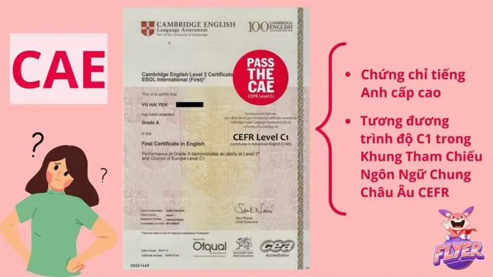CAE Là Gì? Cấu Trúc, Lợi Ích & So Sánh Với IELTS, TOEFL