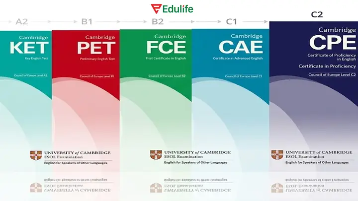 CAE Là Gì? Cấu Trúc, Lợi Ích & So Sánh Với IELTS, TOEFL