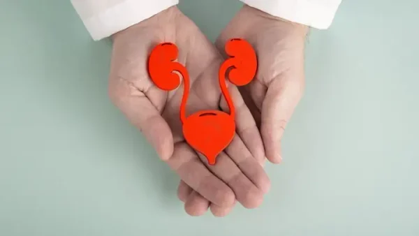 Cai Quản Là Gì? Ý Nghĩa, Cách Dùng Và Các Khía Cạnh Liên Quan