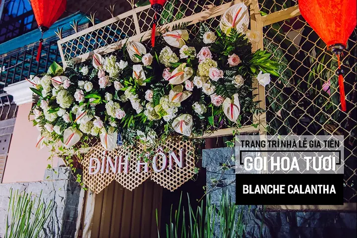 Calantha Là Gì? Ý Nghĩa Tên Tiếng Anh Calantha Cho Bé Gái Và Cách Đặt Hay