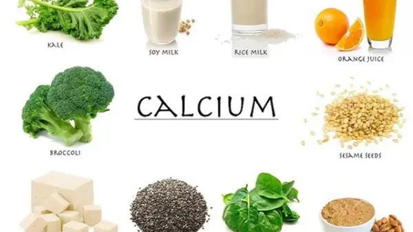 Calcium Là Gì? Tác Dụng, Nhu Cầu Và Cách Bổ Sung Canxi Hợp Lý Cho Cơ Thể