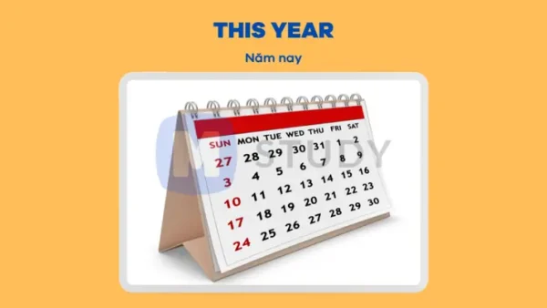 Calendar Year Là Gì? Phân Biệt Năm Dương Lịch Và Năm Tài Chính