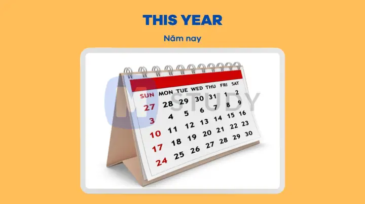 Calendar Year Là Gì? Phân Biệt Năm Dương Lịch Và Năm Tài Chính