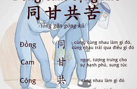 Cam Có Nghĩa Là Gì? Khám Phá Các Ý Nghĩa Đa Dạng Của Từ “cam”