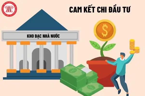 Cam Kết Chi Là Gì? Quy Trình, Bản Chất Và Ý Nghĩa Trong Ngân Sách Nhà Nước