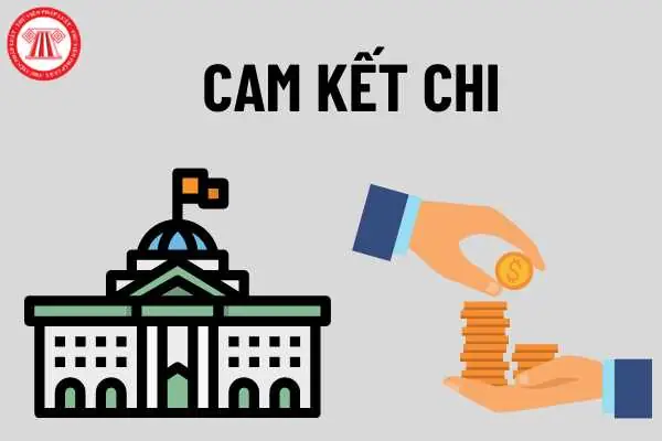 Cam Kết Chi Là Gì? Quy Trình, Bản Chất Và Ý Nghĩa Trong Ngân Sách Nhà Nước