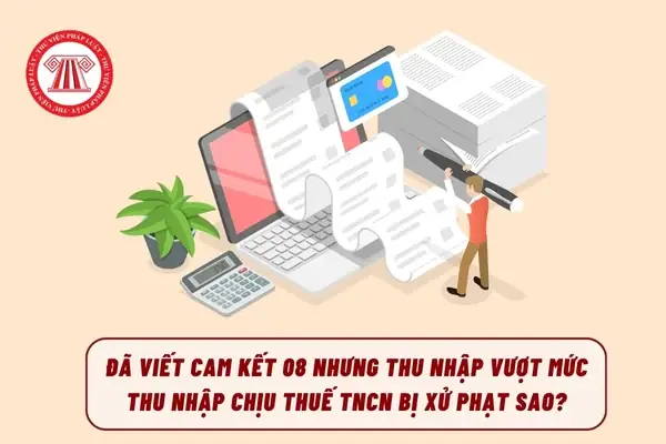 Cam Kết Thu Nhập Là Gì? Hướng Dẫn Chi Tiết Thủ Tục Và Điều Kiện Mẫu 08/CK-TNCN