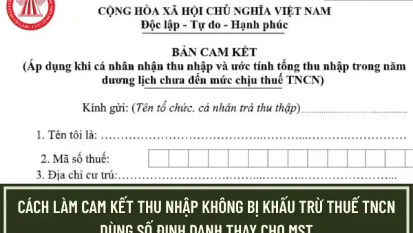 Cam Kết Thu Nhập Là Gì? Hướng Dẫn Chi Tiết Thủ Tục Và Điều Kiện Mẫu 08/CK-TNCN
