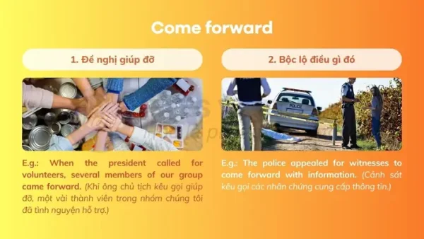 Came Nghĩa Là Gì? Giải Thích Chi Tiết Từ A-Z