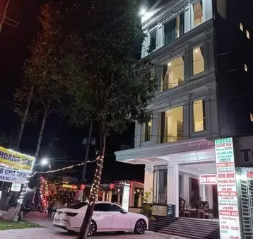 Can Địa Hoàng Là Gì? Đặc Điểm, Công Dụng Và Cách Nhận Biết