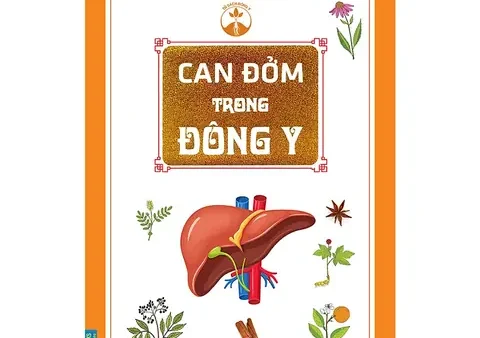 Can Đởm Thấp Nhiệt Là Gì? Nguyên Nhân, Triệu Chứng Và Cách Điều Trị Đúng