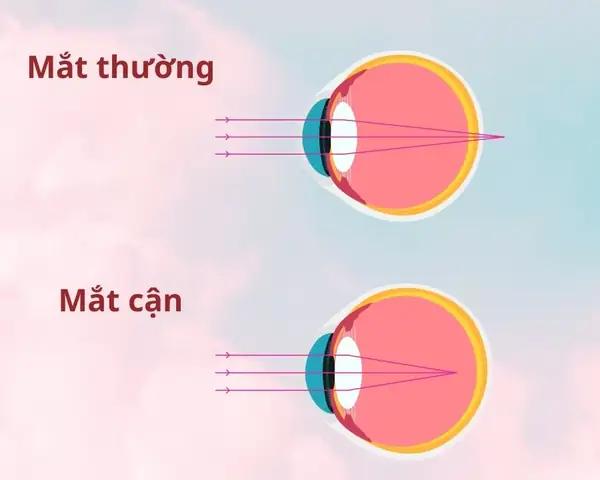 "cương Thường" Là Gì? Nguồn Gốc, Ý Nghĩa Và Ảnh Hưởng Trong Xã Hội