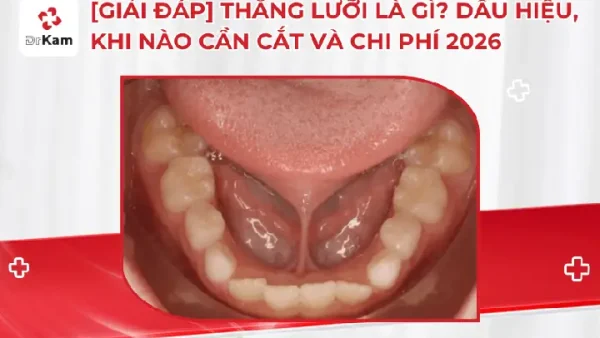 Hiểu Rõ Can Chi Là Gì: Giải Mã Thiên Can, Địa Chi & Ứng Dụng Phong Thủy