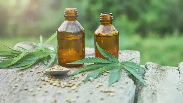 Cannabidiol (CBD) Là Gì? Lợi Ích, Tác Dụng Và Lưu Ý Khi Sử Dụng