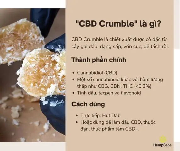 Cannabinoid Là Gì? Phân Loại, Tác Dụng Và Ứng Dụng