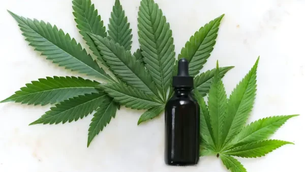 Cannabinoid Là Gì? Phân Loại, Tác Dụng Và Ứng Dụng
