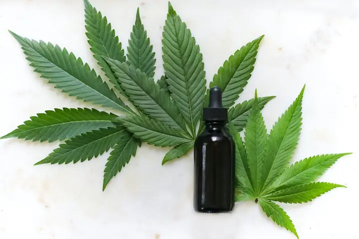 Cannabinoid Là Gì? Phân Loại, Tác Dụng Và Ứng Dụng