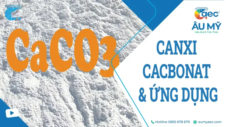 Canxi Cacbonat (caco3) Là Gì? Công Dụng Và Cách Dùng Hiệu Quả
