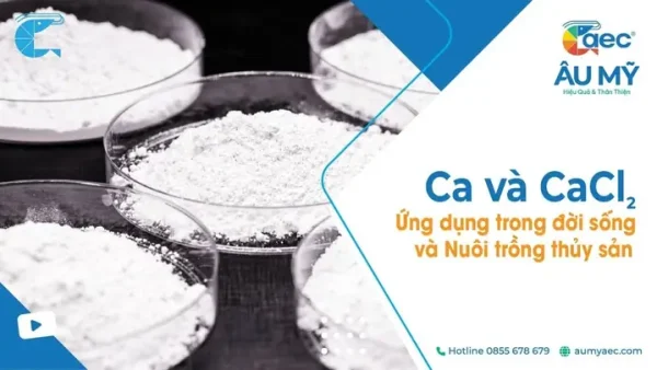 Canxi Clorua (cacl₂): Định Nghĩa, Tính Chất Và Ứng Dụng Đa Dạng