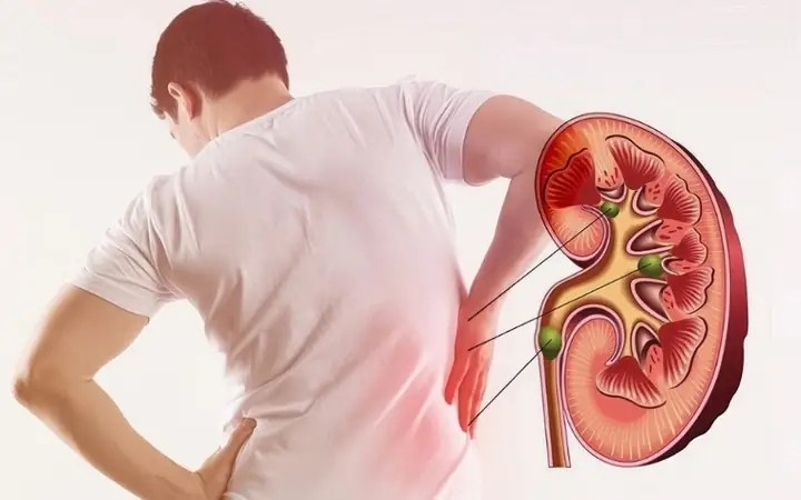 Canxi Ion Là Gì? Hiểu Rõ Vai Trò Và Ý Nghĩa Của Xét Nghiệm Canxi Ion Hóa