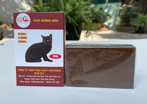 Cao Bắc Lạng Là Gì? Giải Mã Vùng Địa Lý Lịch Sử Đầy Biến Động