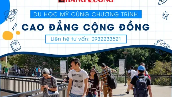 Cao Đẳng Cộng Đồng Là Gì? Định Nghĩa, Lợi Ích Và Phân Biệt Với Đại Học