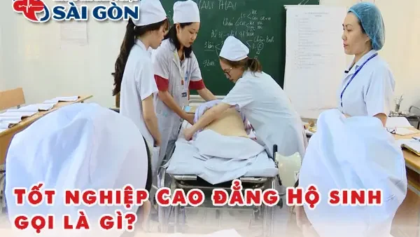 Cao Đẳng Hộ Sinh Là Gì? Vai Trò, Nhiệm Vụ Và Cơ Hội Nghề Nghiệp