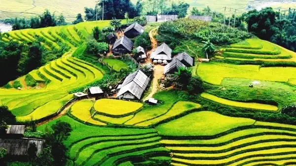 Cao Nguyên Xếp Tầng Là Gì? Đặc Điểm, Phân Bố Và Ý Nghĩa Địa Lý