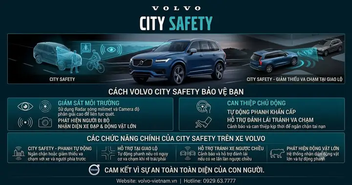 Cao Toàn Tính Là Gì? Phân Biệt Và Lưu Ý Sử Dụng