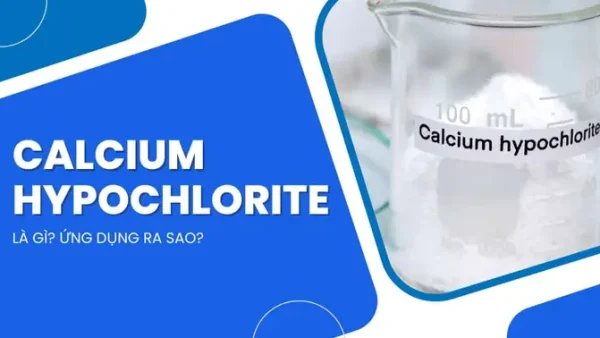 Clorua Vôi (caocl2) Là Gì? Tính Chất, Ứng Dụng Và Lưu Ý Sử Dụng