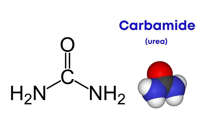 Carbamide Là Gì? Phân Biệt Carbamide Peroxide Và Urea