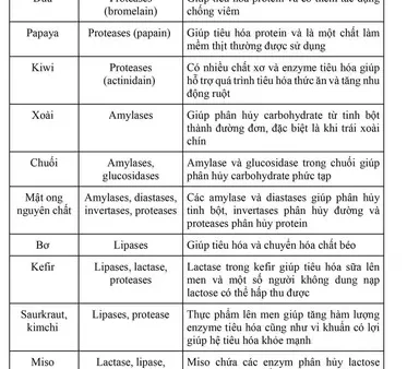 Carboxypeptidase Là Gì? Vai Trò Trong Tiêu Hóa Và Chức Năng