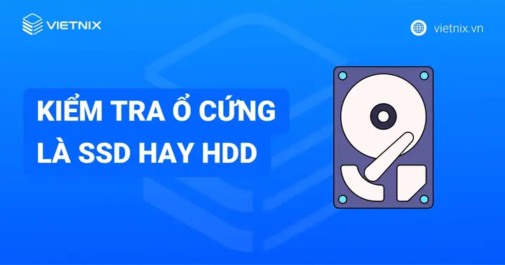 Card Mạng (LAN Card) Là Gì? Chức Năng, Phân Loại & Cách Hoạt Động Chi Tiết