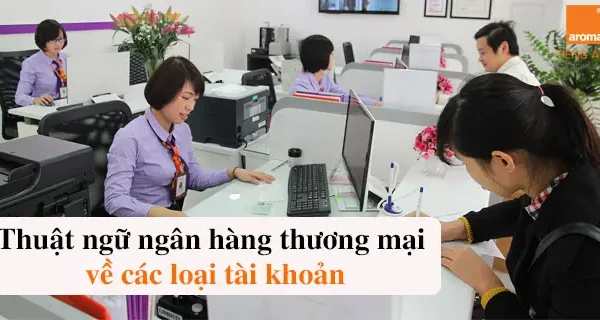 Card Owner Là Gì? Định Nghĩa, Vai Trò Và Các Thuật Ngữ Liên Quan