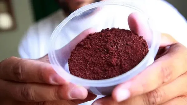 Carmine Là Gì? Nguồn Gốc, Công Dụng Và Ứng Dụng Phổ Biến Trong Thực Phẩm & Mỹ Phẩm