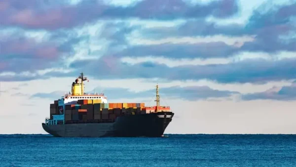 Carrier Trong Xuất Nhập Khẩu Là Gì? Vai Trò Và Phân Loại Chi Tiết
